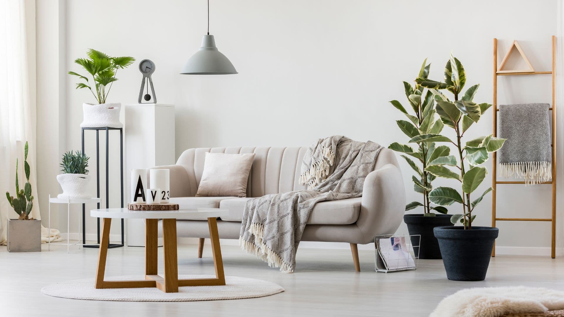 Luxury airbnb living room with couch and potted plants