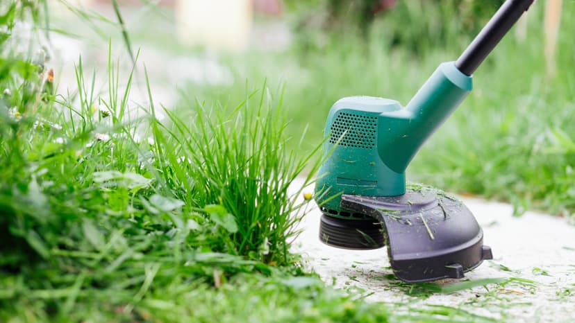 weed whacker for lawn care service